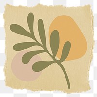 Leaf branch png sticker, transparent background