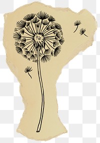 Dandelion flower illustration png sticker, transparent background