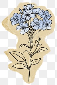 Blue flower illustration png sticker, ripped paper, transparent background