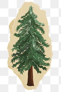 Christmas tree png sticker, ripped paper, transparent background