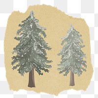 Christmas tree png sticker, ripped paper, transparent background