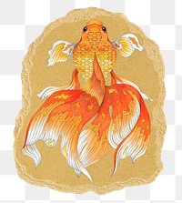 Japanese goldfish png sticker, ripped paper, transparent background