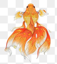 Japanese goldfish png sticker, animal cut out, transparent background