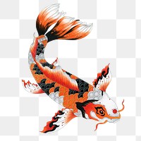 Japanese koi fish png sticker, animal cut out, transparent background