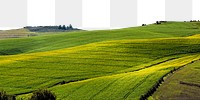 Green hills png border, transparent background