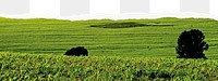 Aesthetic farm png border, transparent background, ripped paper, agriculture
