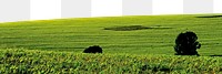 Aesthetic farm png border, transparent background, agriculture