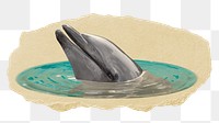 Dolphin png sticker, ripped paper, transparent background