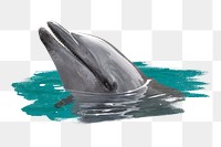 Dolphin png sticker, animal, transparent background