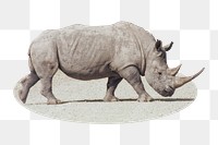 Rhino png sticker, wildlife photo badge, transparent background