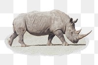 Rhino png sticker, wildlife photo in torn paper badge, transparent background