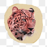 Leopard tiger png ripped paper sticker, wild animal graphic, transparent background