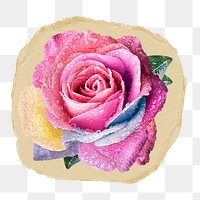 Pink rose png flower ripped paper sticker, Valentine's graphic, transparent background