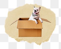 French Bulldog puppy png ripped paper sticker, cute pet graphic, transparent background