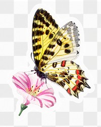 Butterfly png sticker, animal illustration, transparent background