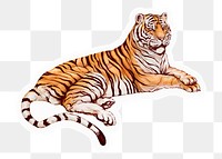 Lying tiger png sticker, drawing illustration, transparent background