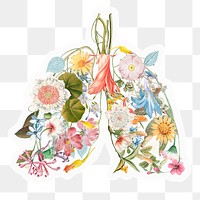 Flower lungs png sticker, aesthetic illustration, transparent background