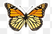 Monarch butterfly png sticker, aesthetic illustration, transparent background