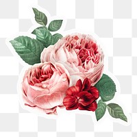 Pink flowers png sticker, aesthetic botanical design, transparent background