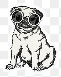 Cute pug dog png sticker, drawing illustration, transparent background