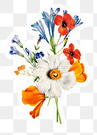 Spring flowers png sticker, aesthetic colorful design, transparent background