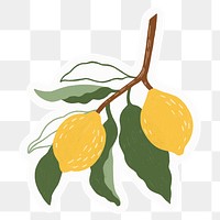 Lemon png sticker, fruit illustration, transparent background