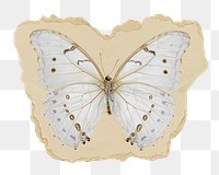 Aesthetic butterfly png sticker, ripped paper, transparent background