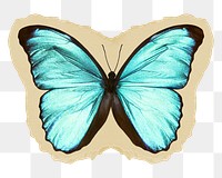 Emperor butterfly png sticker, ripped paper transparent background