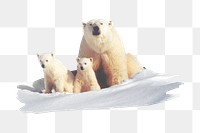 PNG Mom and Her Cubs, collage element, transparent background