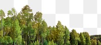 Green forest png border, transparent background