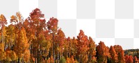 Autumn forest png border, transparent background