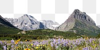 Spring flower field png border, beautiful nature image, transparent background