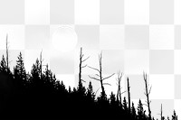 Forest silhouette png border, full moon photo, transparent background