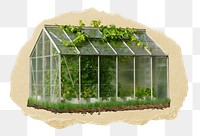 PNG Small greenhouse, collage element, transparent background