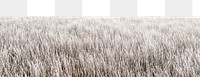 Winter grass field  png border, nature photo, transparent background