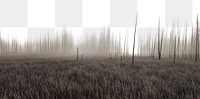 Foggy grass field png border, nature photo, transparent background