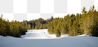 Pine forest png border, winter landscape image, transparent background