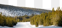 Pine forest png border, winter landscape image, transparent background