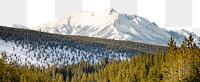 Pine forest png border, winter landscape image, transparent background