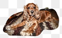 PNG Brown dog lying on carpet, collage element, transparent background