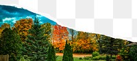 Forest landscape png ripped paper, autumn, transparent background