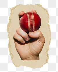 Hand holding png cricket ball sticker, ripped paper, transparent background