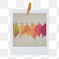 Autumn leaves png sticker, Fall aesthetic instant photo with wooden clip on transparent background