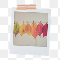 Autumn leaves png sticker, Fall aesthetic instant photo with washi tape on transparent background