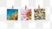 Spring flowers png instant photo collages, transparent background