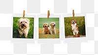 Cute puppies png mood board sticker, pet instant photos, transparent background