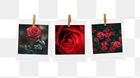 Valentine's roses png instant photos sticker, red flower mood board transparent background