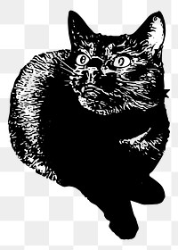 Cat png sticker illustration, transparent background. Free public domain CC0 image.