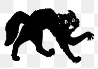 Spooked cat png sticker, transparent background. Free public domain CC0 image.