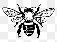 Bee, insect png sticker, transparent background. Free public domain CC0 image.